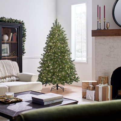 Downswept Douglas Fir Tree with Clear Lights