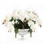 Orchid Floral Arrangement in Vase