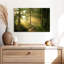 Alvord Forest Road - soleil-107718323