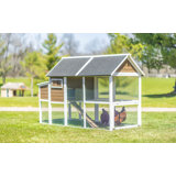 15.8 Square Feet with Chicken Run