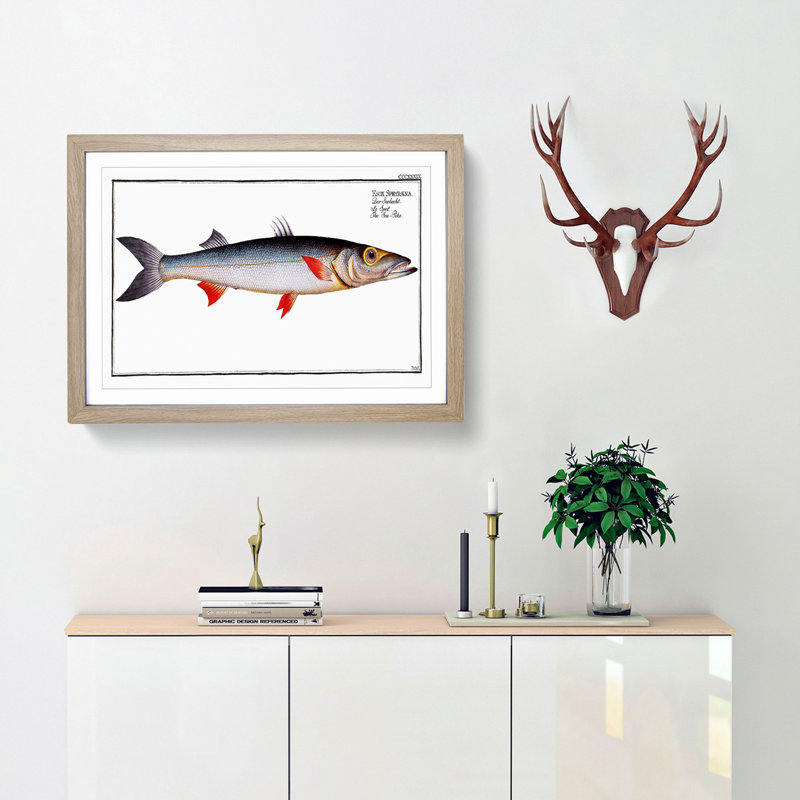 Sea-Pike Fish by M.E. Bloch - Picture Frame Painting Print, 27cm H x 36cm W x 2cm D, Oak Framed