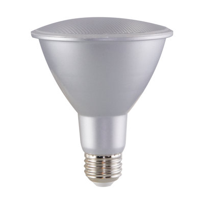 12,5 watts (équivalent à 75 watts), DEL PAR30L, ampoule à intensité variable, culot E26 / moyen (standard)