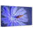 Bee On Chicory Flower-1679210786