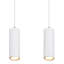 17 4 - Light Pendant-100888009