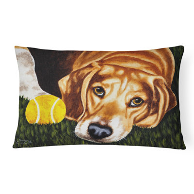  Coussin intérieur / extérieur Have Ball Will Travel Beagle