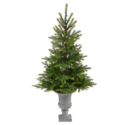 North Carolina 4.67' Green Spruce Artificial Christmas Tree with 100 Clear Lights -  The Holiday Aisle®, 5F0E1A17A1854F96A7566F6DE239A2E1