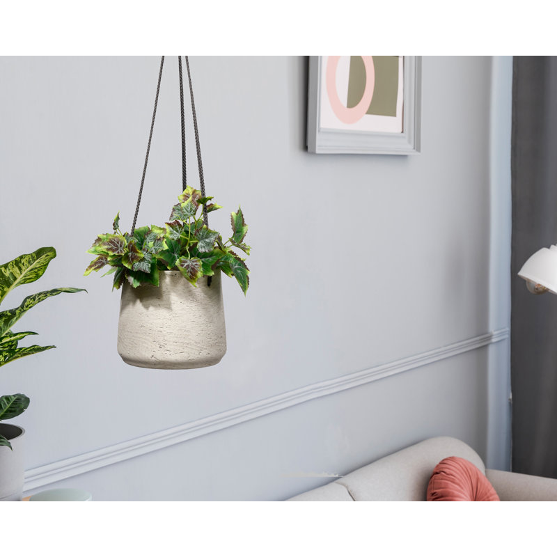 Pot à fleurs suspendu en béton Refton, H 4,55 po x l 5,25 po x P 5,25 po