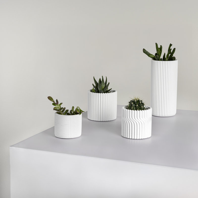Ensemble de 4 vases Noa, Blanc mat