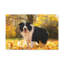 Art mural majestueux Border Collie-131682890