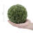 Set of 2 Faux Boxwood Topiary Balls – 6-Inch Lifelike Decorative Artificial Plant Accents