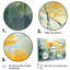 Edgardo - Ensemble d'impressions murales Buttercups-108462303-108462300