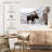 Snowy Moose-107473038