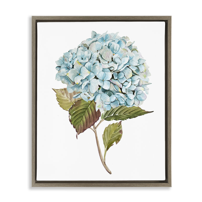 «Simple Hydrangea Bud» par Enya Todd, Cadre flottant orme Montalcino, H 31 po x l 25 po