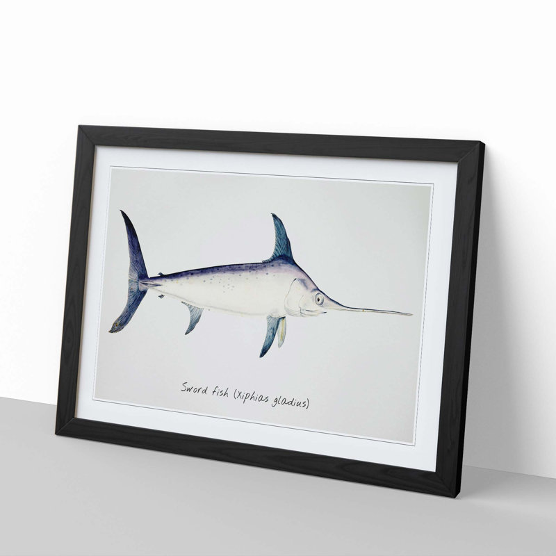Illustration of a Swordfish by F.E. Clarke - Picture Frame Graphic Art Print, 48cm H x 65cm W x 2cm D, Black Framed