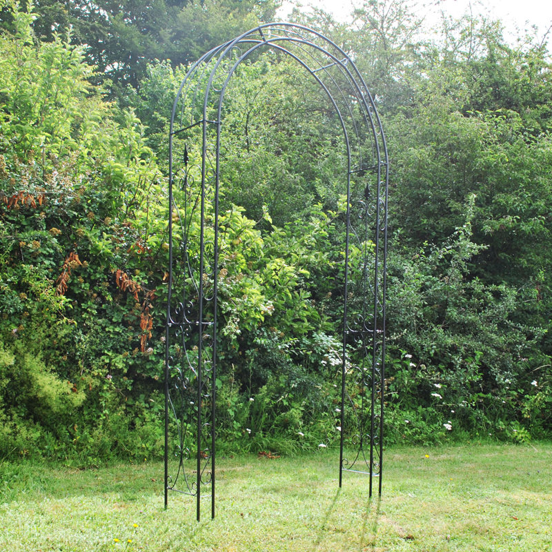 Adolfo 120cm W x 30cm D Metal Arbour with Gate in Black