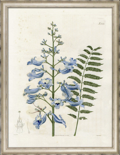 Large Blue Botanical I - Peinture encadrée sur papier