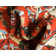 Britannia Floral Indoor Rug