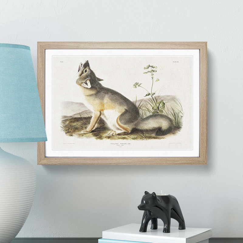 Swift Fox by J.W. Audubon - Picture Frame Art Prints, 48cm H x 65cm W x 2cm D, Oak Framed