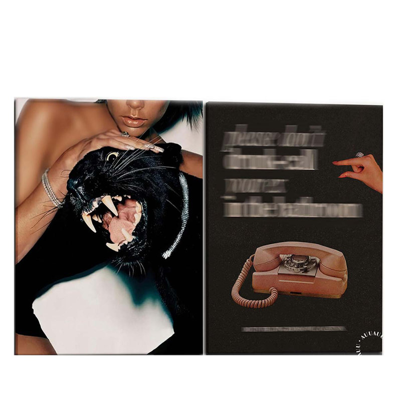 2 Piece Wrapped Canvas Print, 60 cm H x 80 cm W