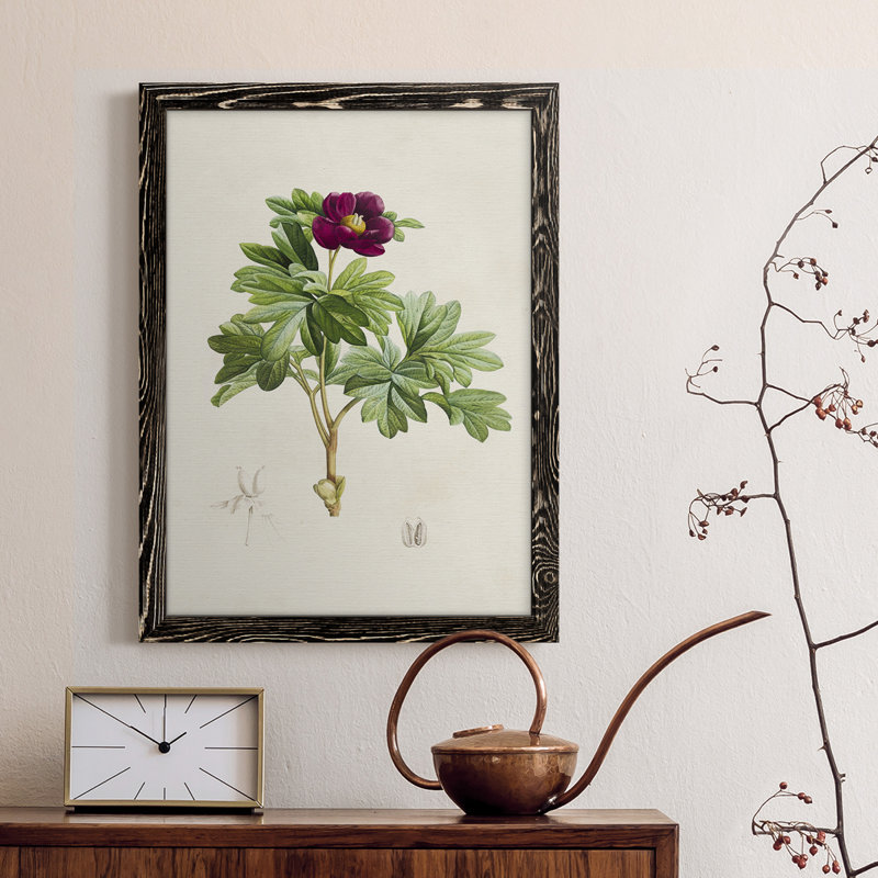 «Pretty Pink Botanicals III», reproduction d'art sur toile, Cadre noir, H 28 po x l 38 po x P 1 po