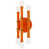 Citrouille vernie / laiton moderne