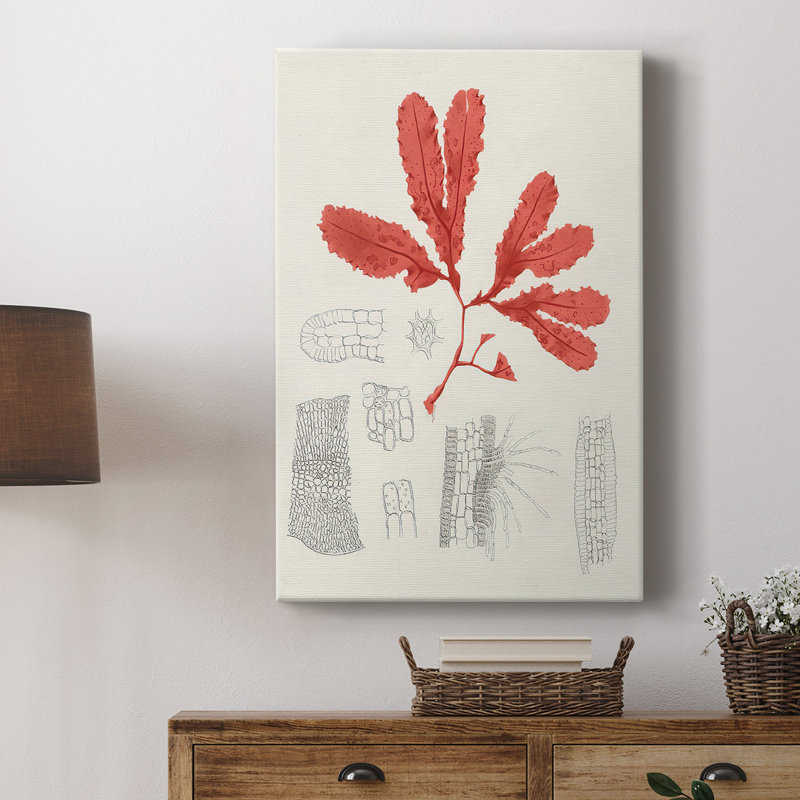 Étude de corail rétro II - galerie Cavas sur mesure, H 36 po x l 24 po