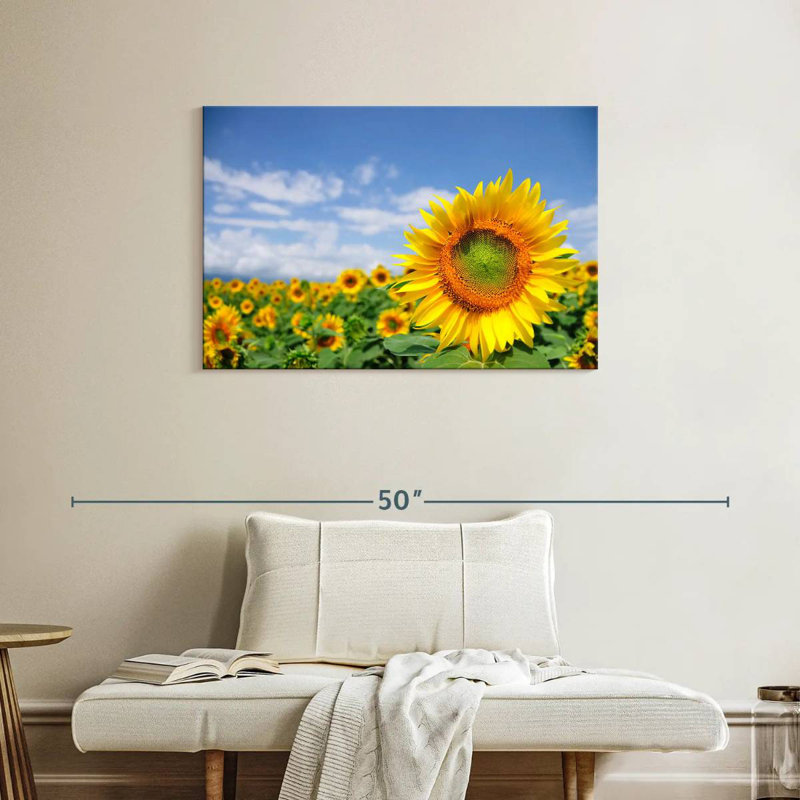 Harnek Akeno Sunflower Field, 24" H x 36" W