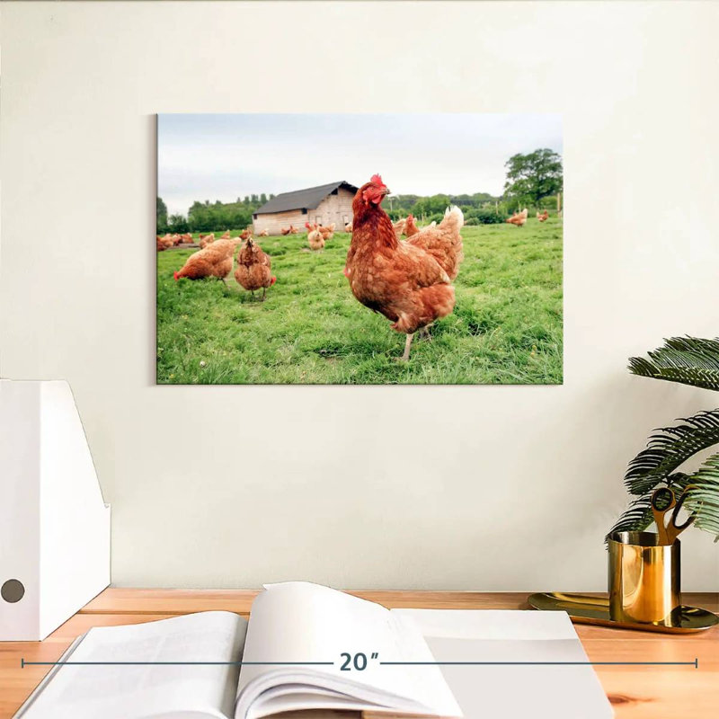 Poulet à la ferme, H 8 po x l 12 po