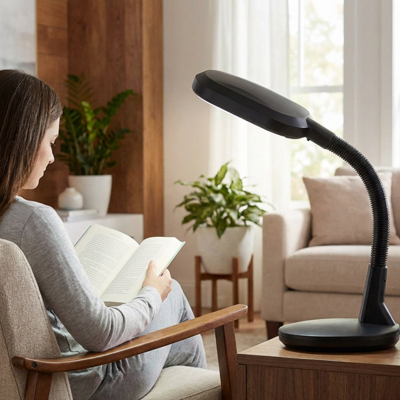 Lampe de bureau 22 po Sunlight