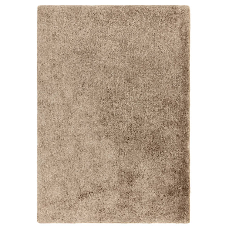 Tachiana Hand Tufted Shaggy Taupe Area Rug