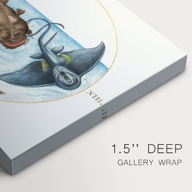 Vignettes de la mer Hoefnagel - Cavas enveloppés de galerie, 40 x 60