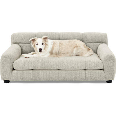 Animaux de compagnie pour grands chiens - Beige moderne rectangulaire avec support pour le dos