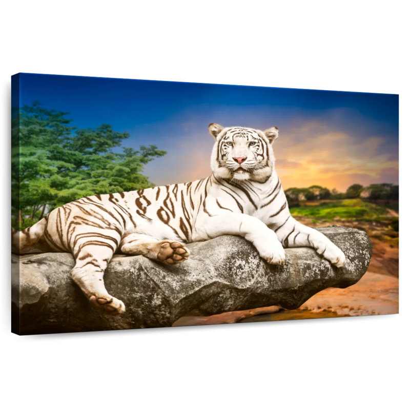 Brampt White Bengal Tiger, 24" H x 36" W