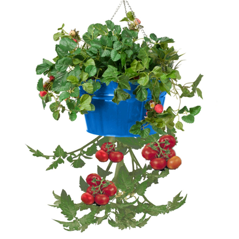 Kilding Metal Hanging Planter, Blue