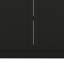 Armoire, deux tablettes noires