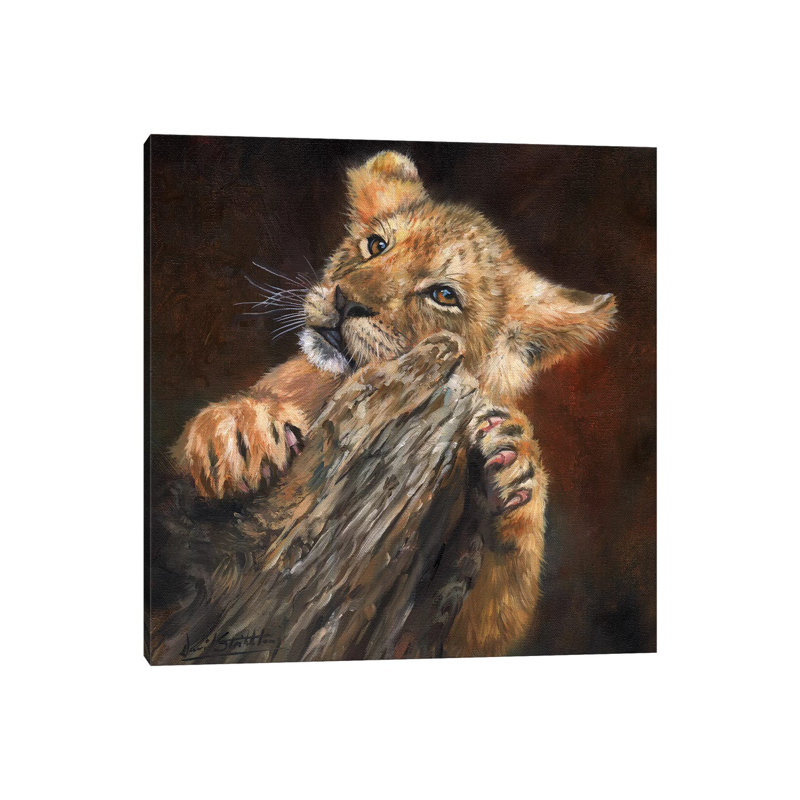 Lion Cub Tree by David Stribbling - Wrapped Canvas Print, 45.72 cm H x 45.72 cm W x 1.91 cm D