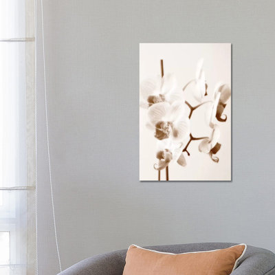 No Boundaries I by Ily Szilagyi - Wrapped Canvas Print