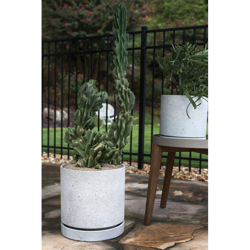 Pot de fleurs en béton, H 11,25 po x l 11 po x P 11 po