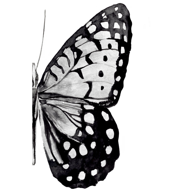 Monochrome Wings II - Wrapped Canvas Painting, 91cm H x 61cm W