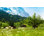 Delania alpes in suisse - Photographie sur toile tendue