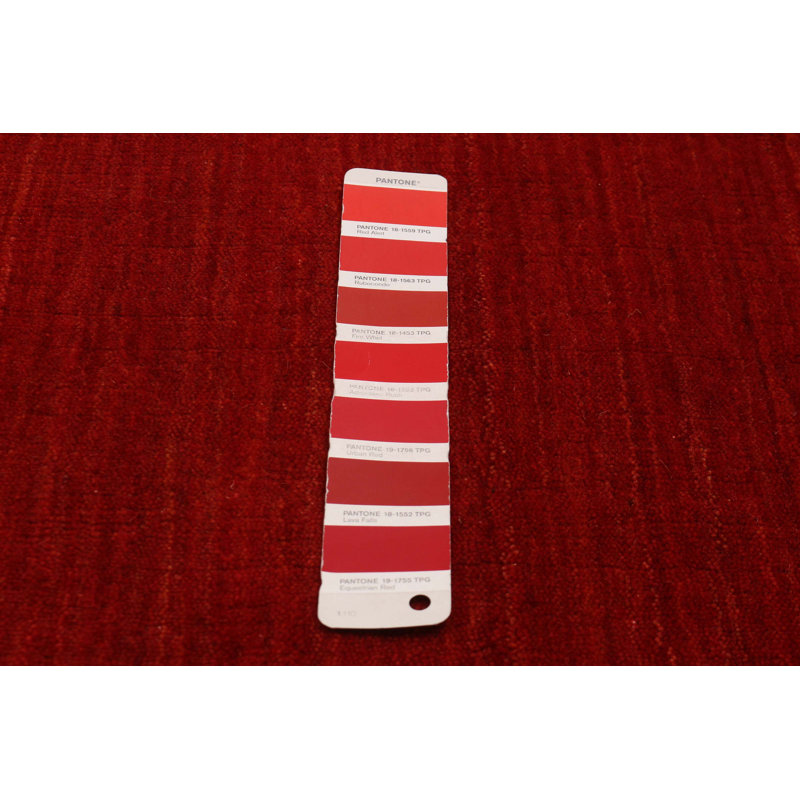 Kashkuli Gabbeh Red Rug 3'11" x 5'11"