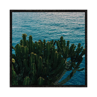 Amalfi Coast Cactus II by Bethany Young - Print on Canvas