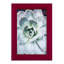 Pastel Succulent Beauty IV, reproduction d'art encadrée-251428983-251428979