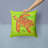 Turtle Outdoor Throw Pillow