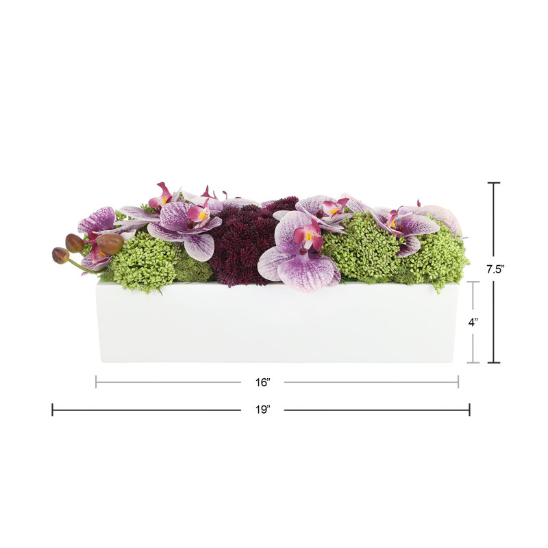 Orchid and Sedum Arranged in Fiberstone Planter, Yellow, 7.5" H x 19" W x 9" D