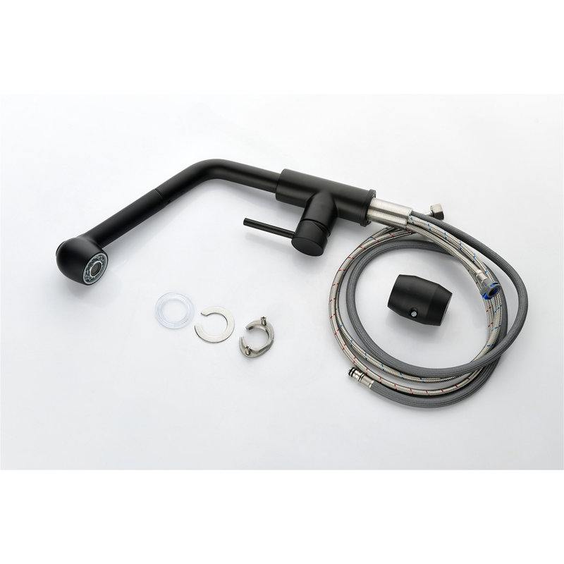 Single Handle Kitchen Sink Faucet With Pull Out Sprayer