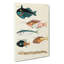 East Indies Fish Illustrations Fol. 18 by Louis Renard - Wrapped Canvas-55342782
