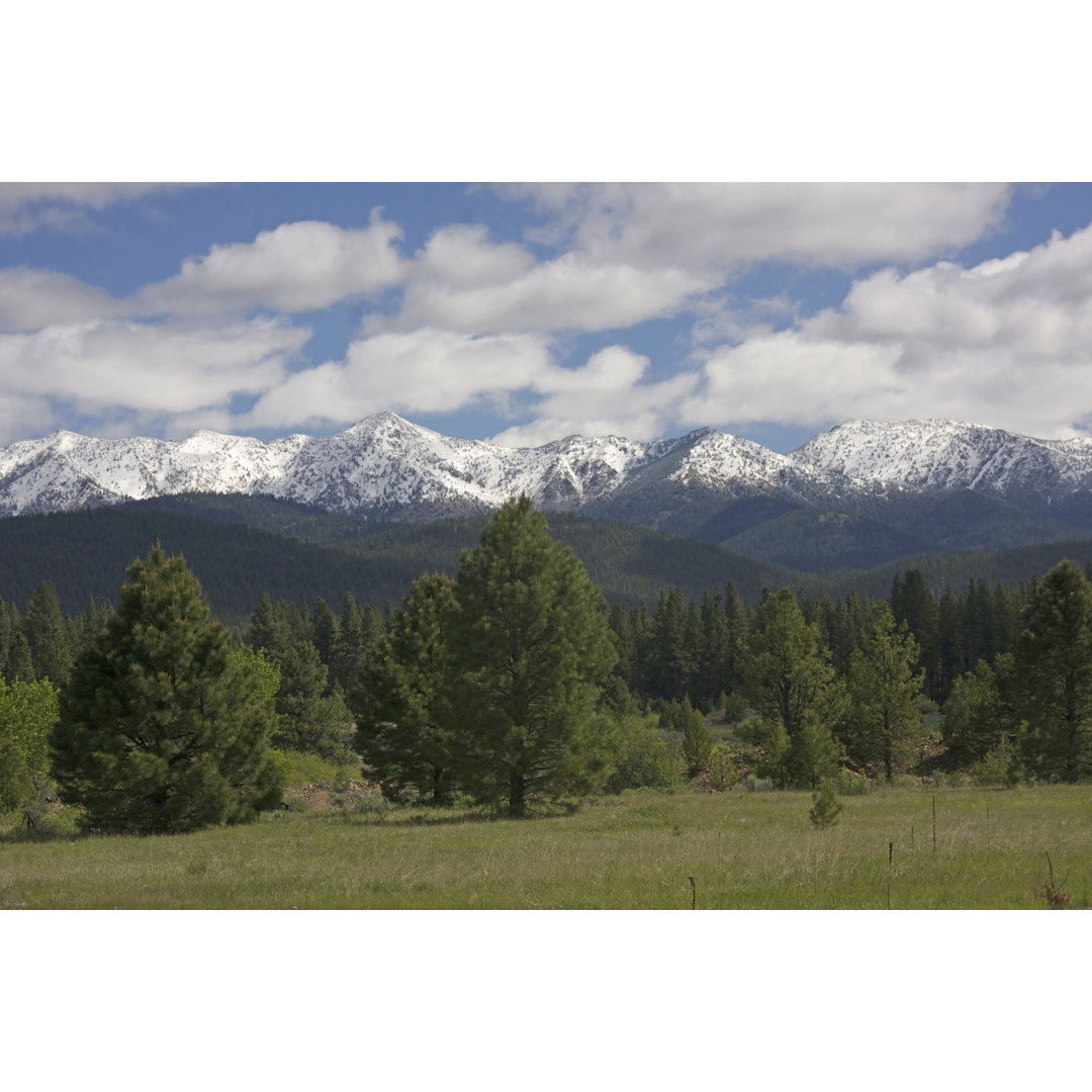 Elkhorn Mountain Range, Oregon - Druck