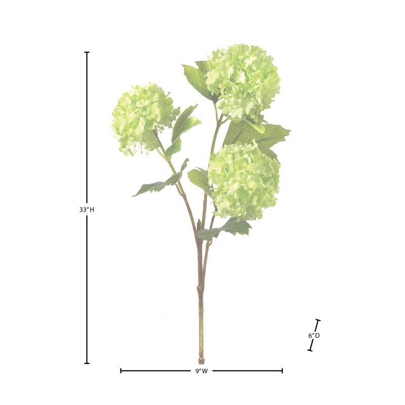 Viburnum vaporisateur 33 po , Vert