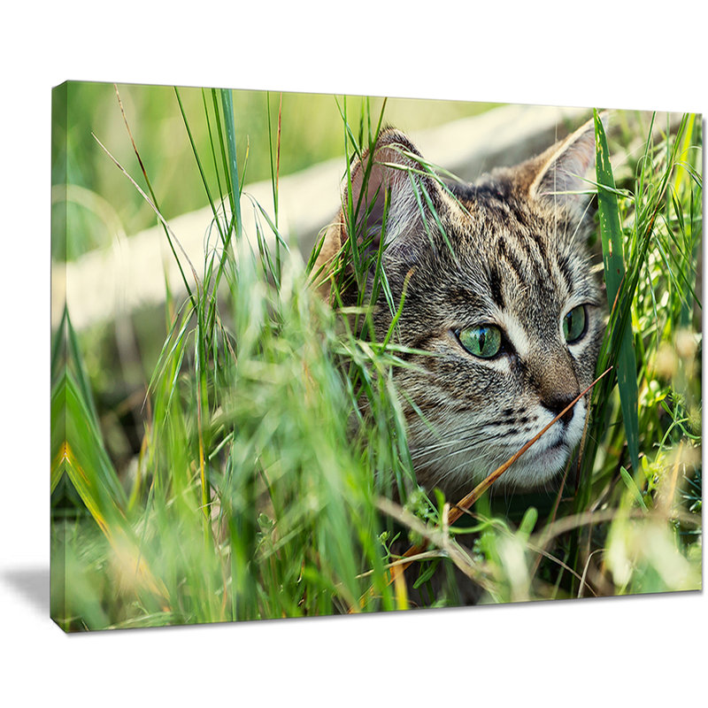 «Lovely Kitten in Grass», reproduction de photo sur toile tendue, H 30 po x l 40 po